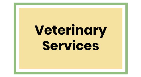 Vet Care Services